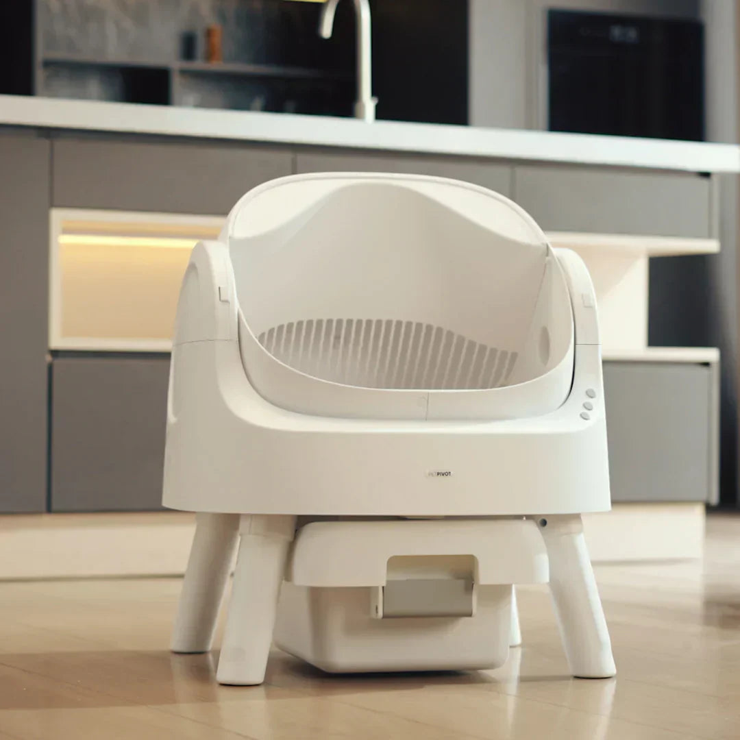 Smart Cat Box