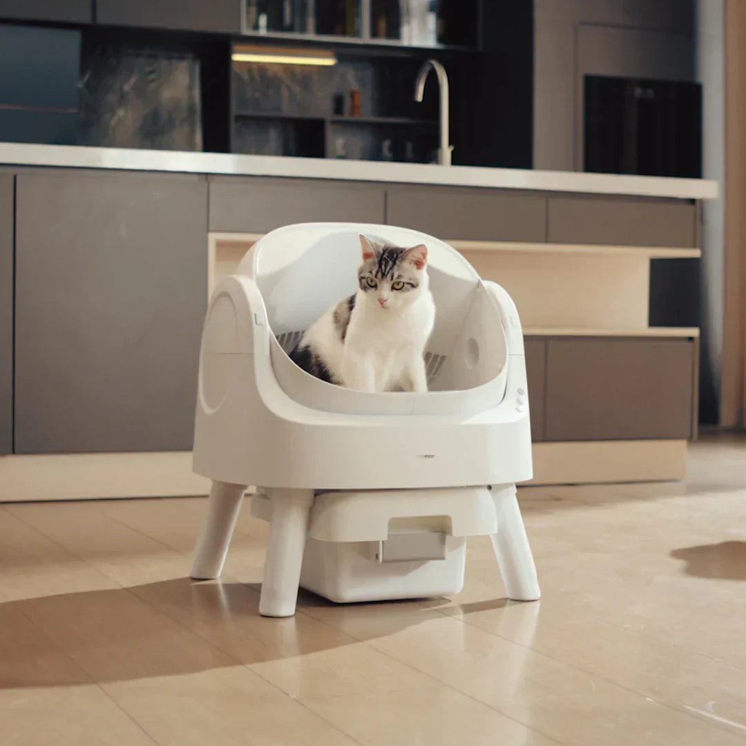 Smart Cat Box